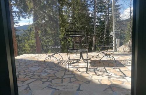 Zlatibor Cabina | Vila Plava Zlatar