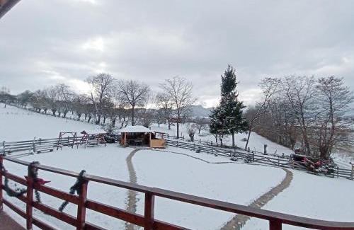 Bran Villa | Vila Rem
