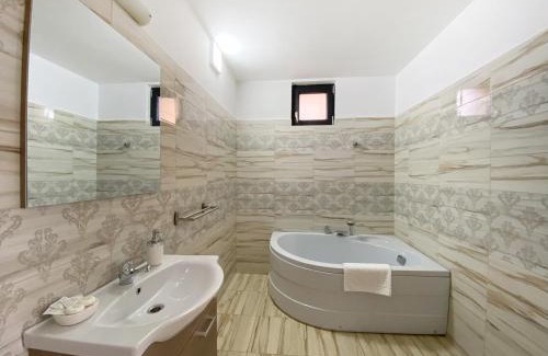 Sighetu Marmatiei Casa | Vila Roza