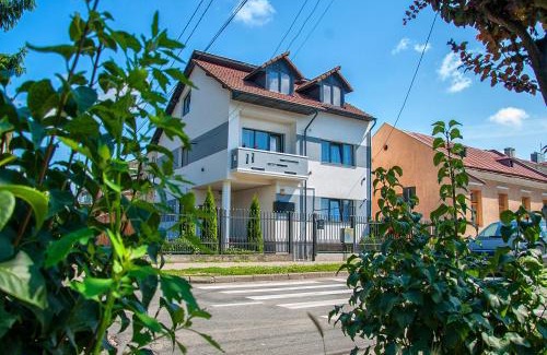 Sighetu Marmatiei Casa | Vila Roza