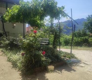 Sicevo Apartamento | Vila Ružica