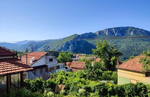 Sicevo Apartamento | Vila Ružica