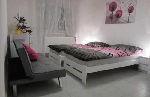 Brada-Rybnicek Casa | Vila Rybníček
