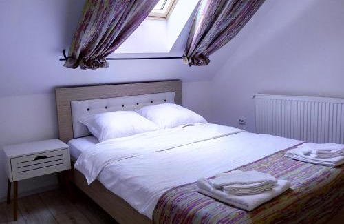 Slanic Casa | Vila Slanic