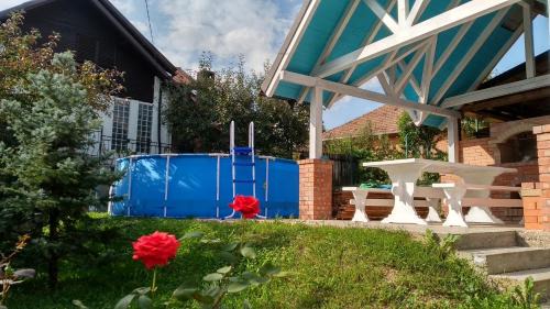 Slanic Casa | Vila Slanic