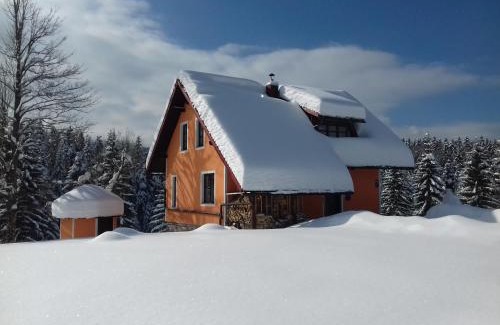 Cabar Chalet De Esquí | Vila Snjeguljica