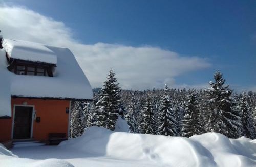 Cabar Chalet De Esquí | Vila Snjeguljica