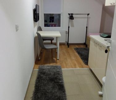 Soko Banja Apartamento | Vila Soko Smeštaj Žugić