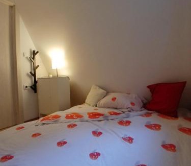 Berkovac Villa | Vila SVITAC Banja Vrujci