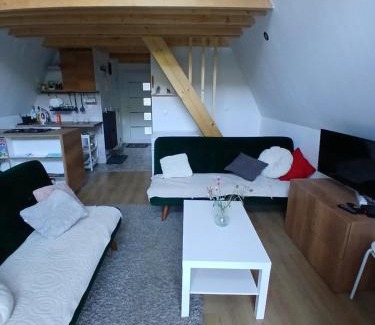 Berkovac Villa | Vila SVITAC Banja Vrujci