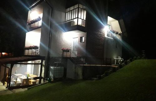 Zlatibor Villa | Vila Trtović