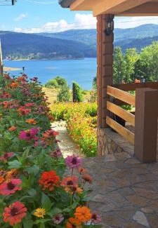 Bor Apartamento | Vila Vera Borsko Jezero