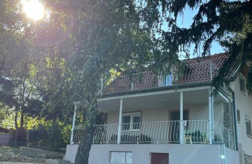 Petrovaradin Casa | Vila Vera Novosadska 15