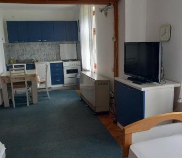 Vrnjacka Banja Apartamento | Vila Verica