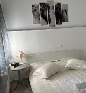 Galatas Villa | Vila Veta