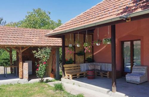Central Serbia Casa | Vila Vida