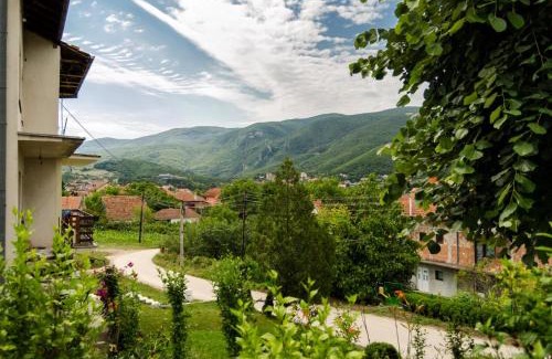 Soko Banja Casa | Vila Vojvođanka