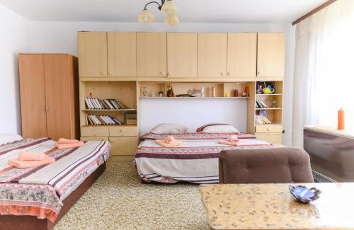 Soko Banja Casa | Vila Vojvođanka
