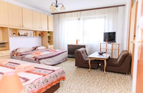 Soko Banja Casa | Vila Vojvođanka