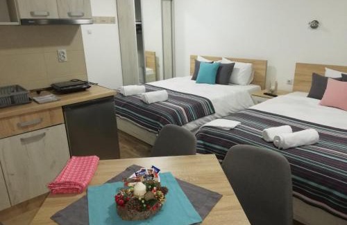 Stara Planina Apartamento | Vila Vrh