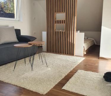 Stara Planina Apartamento | Vila Vrh