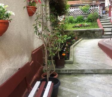 Brasov Villa | Vila Zeno
