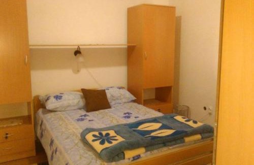 Gornja Trepca Apartamento | Vila Zlata
