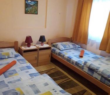 Gornja Trepca Apartamento | Vila Zlata