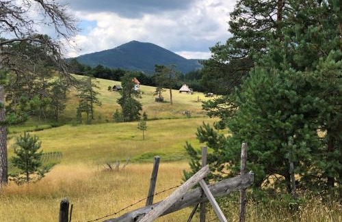 Zlatibor Chalet De Esquí | Vila ZLATNI BOR