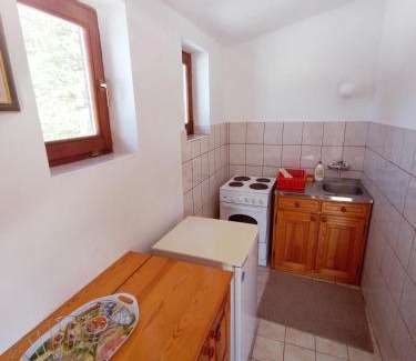 Zlatibor Apartamento | vila Zoran