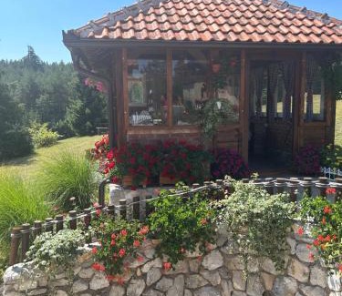 Zlatibor Apartamento | Vila Zorica Vodice