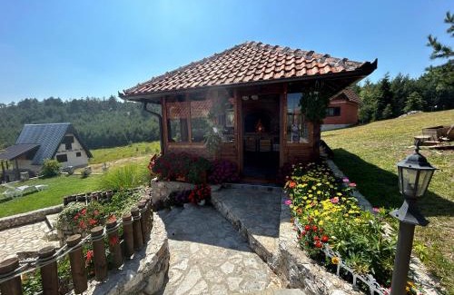 Zlatibor Apartamento | Vila Zorica Vodice