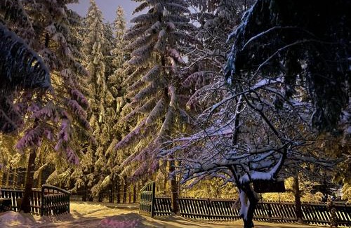 Poiana Brasov Casa | Vila Zorile