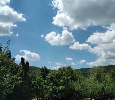 Vrdnik Apartamento | Vila Zvončica