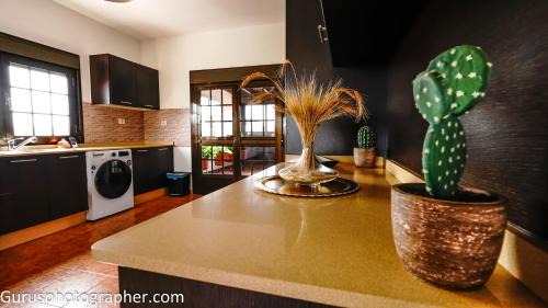 Llanos de la Concepcion Casa | Villa Abuelita Ana