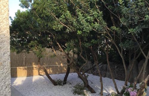 Olbia Villa | "Villa Adele"