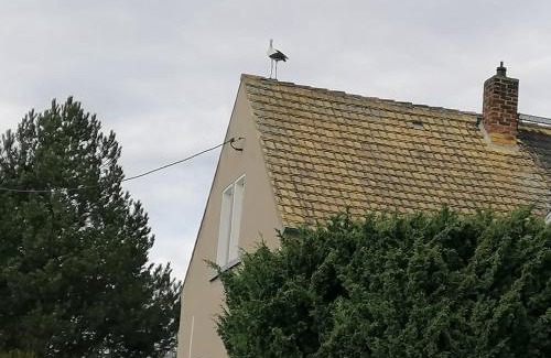 Treben Casa | Villa Affenhaus