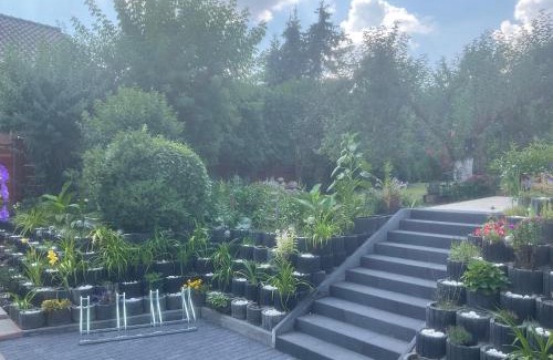 Siedlce Cama Y Desayuno | Villa Aida pokoje gościnne