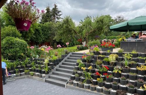 Siedlce Cama Y Desayuno | Villa Aida pokoje gościnne