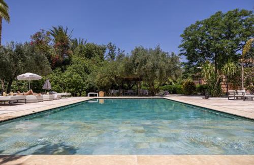 Palmeraie Villa | Villa Al Assala Palmeraie
