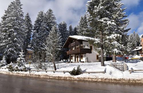Campo Carlo Magno Apartamento | Villa al Campo