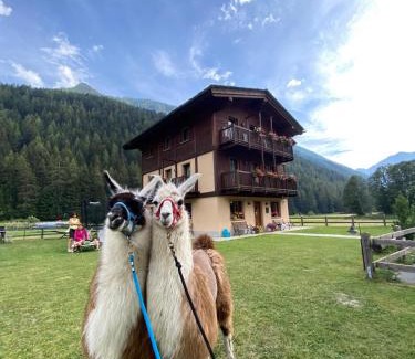 Champoluc Cama Y Desayuno | Villa Americana Chambres d'Hotes