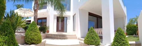 Psinthos Casa | Villa Anastasia