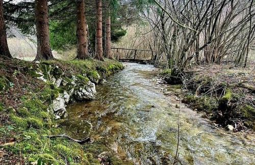 Plitvica Selo Apartamento | Villa Andjelija