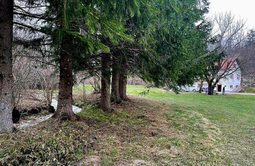 Plitvica Selo Apartamento | Villa Andjelija