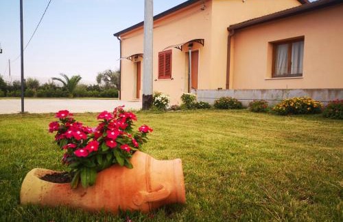 Scanzano Jonico Casa | Villa Anna Maria
