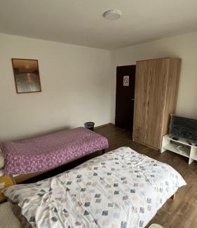 Bor Casa | villa Antonijevic