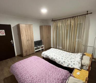 Bor Casa | villa Antonijevic
