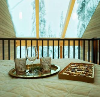 Syote Chalet De Esquí | Villa Auroras Karhu