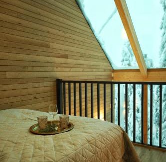 Syote Casa | Villa Auroras Pöllö
